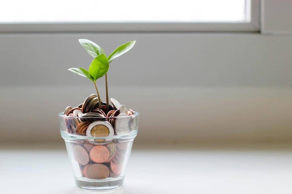 Financial Wellness- Wendie Veloz helps entrepreneurs grow their financial wellness